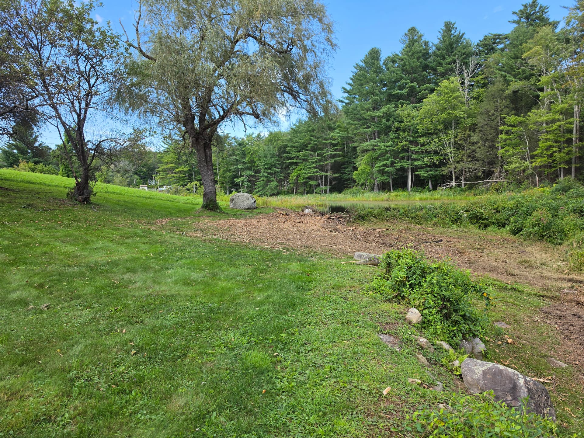 Reclaimed landscape transition with preserved mature trees, Huntington MA