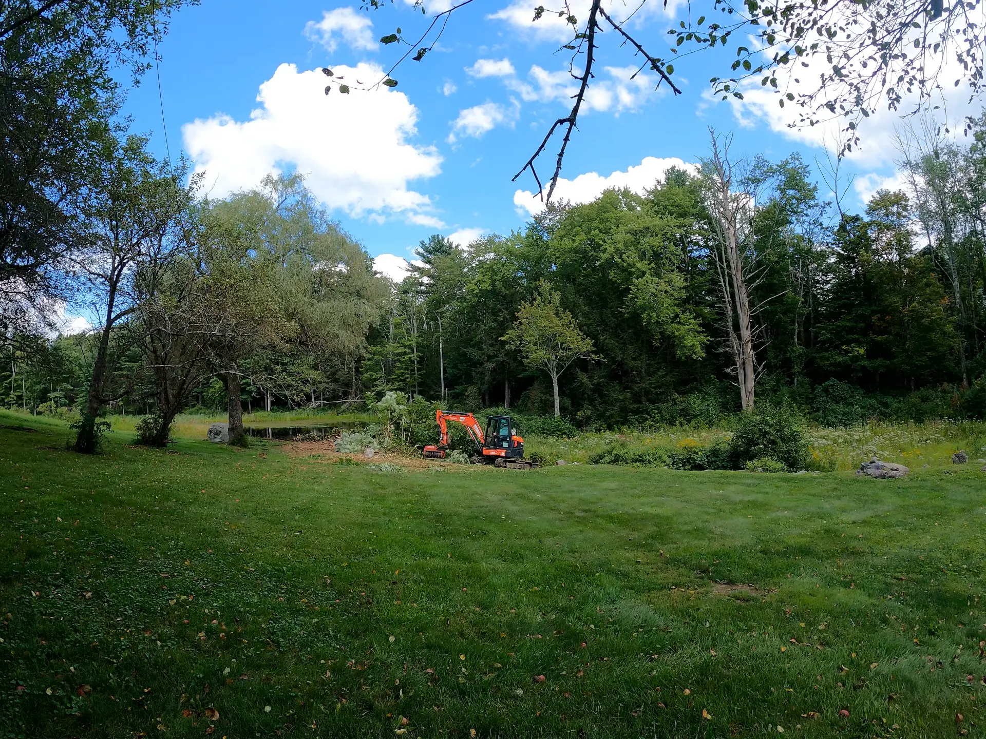 Compact excavator with a forestry mulching head working near the pond edge in Huntington, Massachusetts
