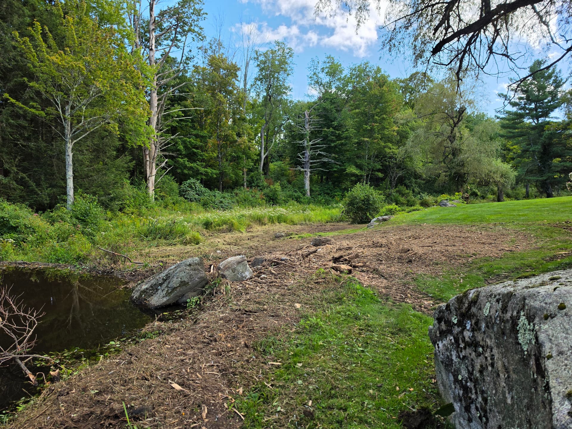 Reclaimed east pond area with preserved mature trees, Huntington MA