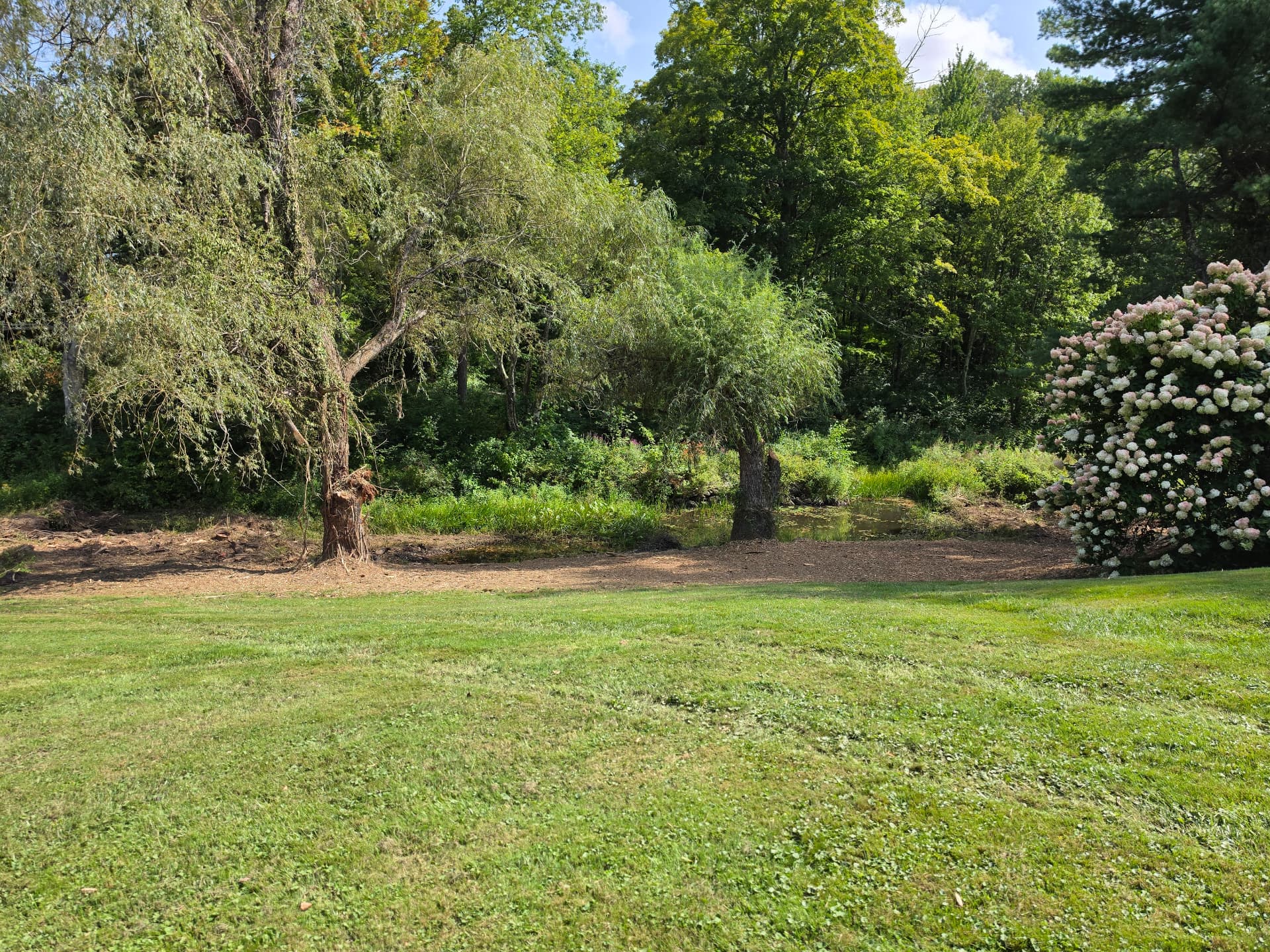 Reclaimed pond with preserved mature trees and landscaping after selective forestry mulching in Huntington, Massachusetts.