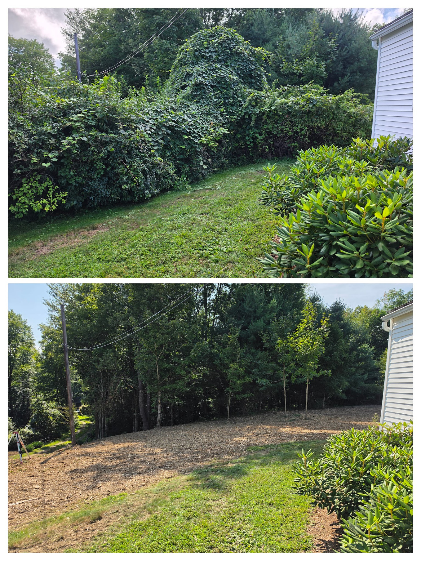 Before and after residential property reclamation using selective forestry mulching in Huntington, Massachusetts